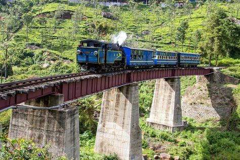 How to Ride the Nilgiri Mountain Railway Toy Train to Ooty Western Ghats, Ooty, Train Journey, Hill Station, South India, Toy Train, India Travel, Lonely Planet, Unesco World Heritage