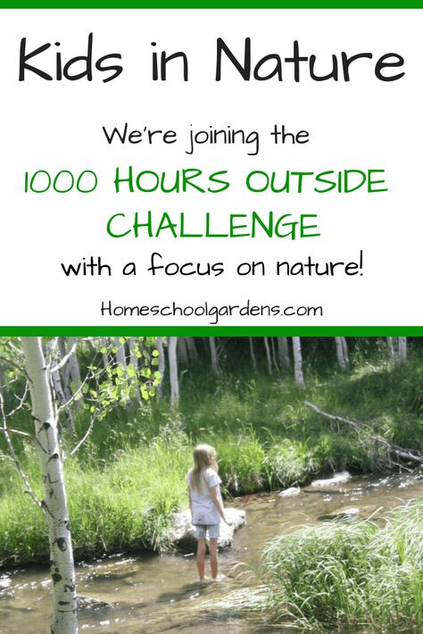 Outside Challenge, Kids In Nature, Wild Schooling, 1000 Hours Outside, Nature Challenge, Homeschool Nature, Homeschool Nature Study, Unstructured Play, Nature Books