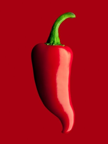 Red Hot photographed by Dana Hursey- ONE EYELAND Colors Of Fire, I See Red, Simply Red, Red Chili Peppers, Foto Tips, Red Hot Chili Peppers, Red Chilli, Color Therapy, Red Pepper