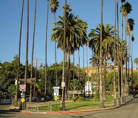 Lincoln Heights, Los Angeles | Lincoln Heights 11-08aa | Flickr - Photo Sharing! Irregular Patterns, Our Place, Mexican Art, The Hills, The Streets, Lincoln, The City, Photo Sharing, Fair Grounds