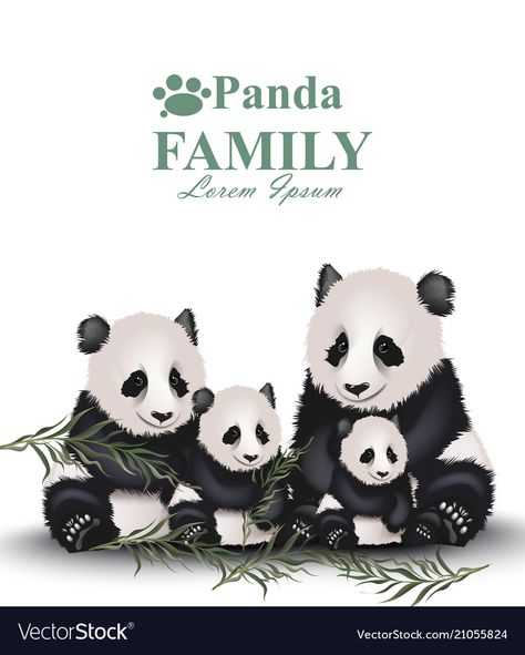 Panda Family Illustration, Panda Pictures, Cute Animals With Funny Captions, Panda Family, Panda Drawing, Family Cute, Family Vector, Panda Lindo, Jungle Illustration