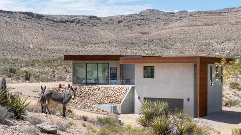 Oasis Springs, Desert House, Nevada Desert, Concrete Houses, Modern Desert, Weathering Steel, House Stark, Desert Homes, Concrete House