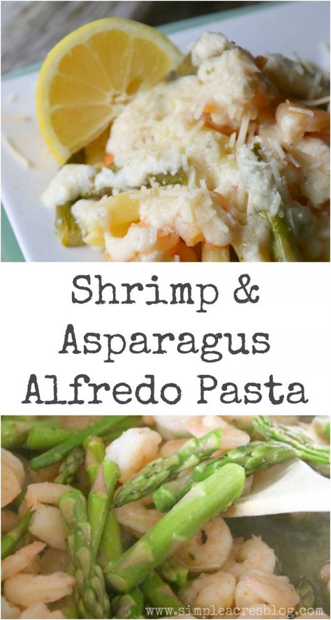 Asparagus Alfredo Pasta, Shrimp Asparagus Pasta Recipes, Shrimp Asparagus Pasta, Fetuccini Alfredo, Shrimp Asparagus, Penne Noodles, Shrimp Fettuccine Alfredo, Mom Meals, Pasta Shrimp