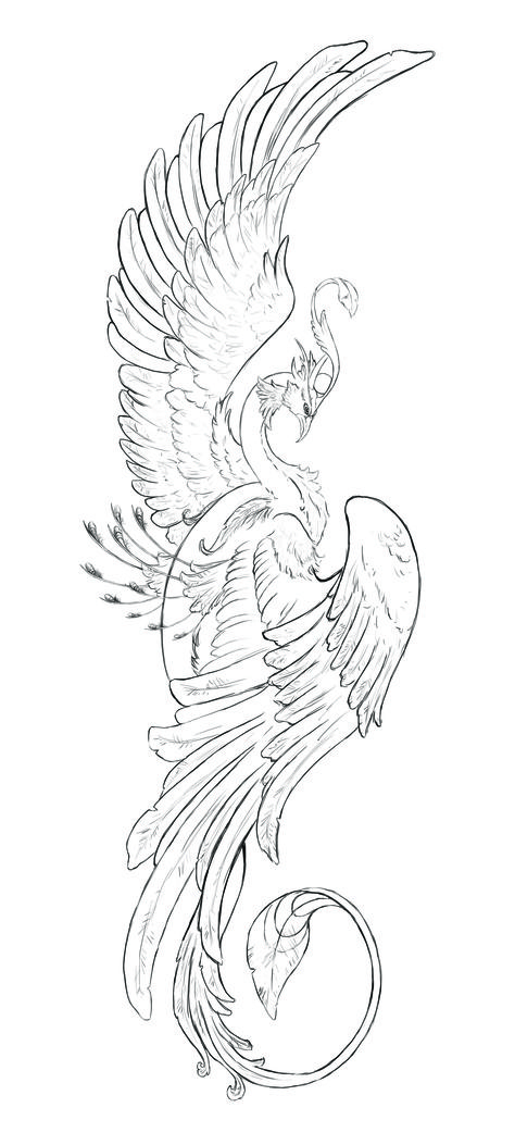 My drawing of  phoenix. It suppose to be a set of three. The others are going to be a dragon and griffin. hopefully I do them soon. Phoenix Sketch Drawing, Phoenix Line Drawing, Bird Goddess, Phoenix Bird Drawing, Phoenix Drawings, Phoenix Art Drawing, Phoenix Sketch, Griffin Drawing, Phoenix Drawing