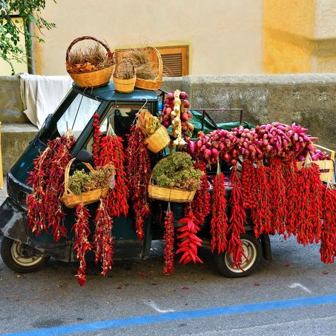 6 Staples of Calabrian Cuisine Citrus Greenhouse, Calabrian Chili, Calabria Italy, Italian Aesthetic, Italian Life, Spaghetti Carbonara, Organic Green Tea, Sweet Citrus, Regions Of Italy