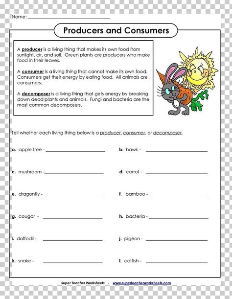 Producer Consumer Decomposer Activities, Producers Consumers Decomposers, Food Chain Worksheet, Food Web Worksheet, Producers And Consumers, Compound Words Worksheets, Science Printables, Plant Parts, Animal Worksheets