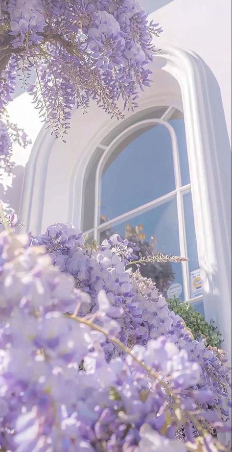 Fesyen Islam, Lavender Aesthetic, Pretty Landscapes, Spring Wallpaper, Spring Aesthetic, Pretty Photos, Pretty Wallpaper Iphone, Simple Wallpapers, Pretty Wallpapers Backgrounds