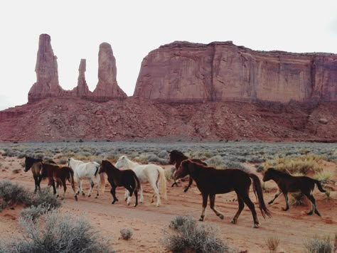 Desert Aesthetic, Cowboy Aesthetic, Cowboy Like Me, Into The West, Wilde Westen, Desert Dream, Wild At Heart, Wild Wild West, Dirt Road