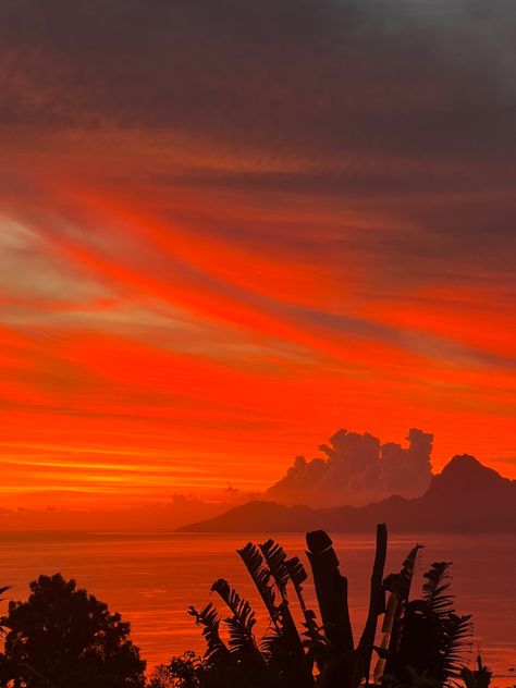 French Polynesia Aesthetic, Polynesia Aesthetic, Tahiti Aesthetic, Dreams List, Painted Skies, Tahiti French Polynesia, Island Princess, Golden Summer, Beach Book