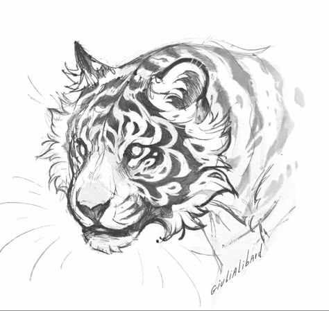 Tiger Drawing, Animal Drawings Sketches, Big Cats Art, Tiger Art, Arte Inspo, Animal Sketches, Arte Fantasy, 영감을 주는 캐릭터, Art Tutorials Drawing