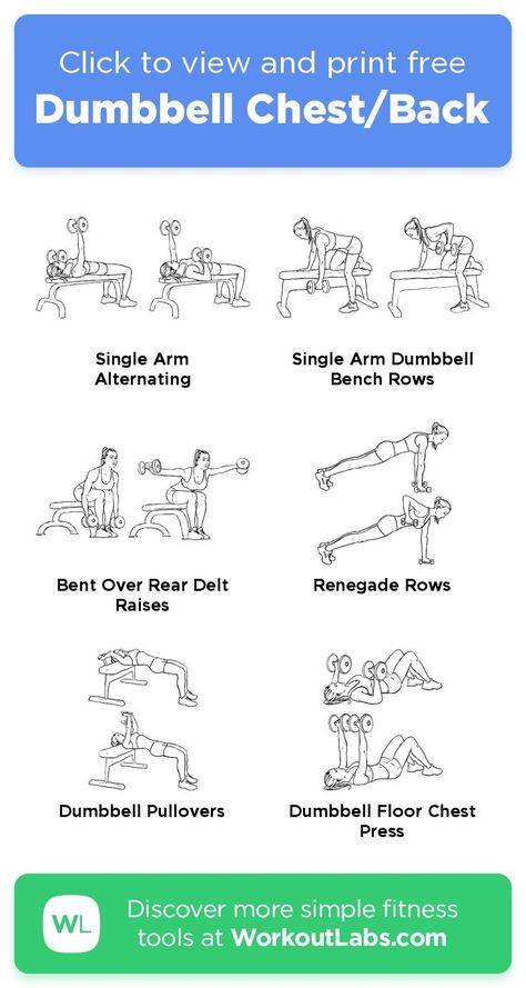 Chest And Back Dumbbell Workout, Back And Chest Workout Women, Chest And Back Workout Women, Back Workout Dumbell, Back And Chest Workout, Chest Back Workout, Upper Body Workout Gym, Dumbbell Back Workout, Dumbbell Chest Workout