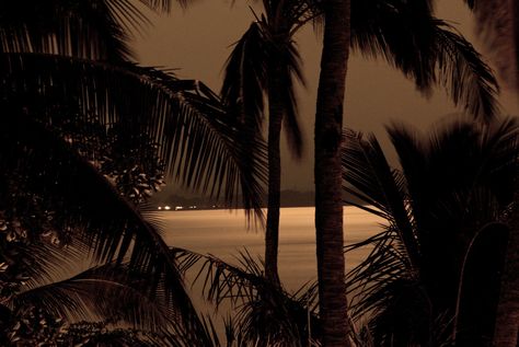 Tropical Night 3 | mauidaoust | Flickr Island At Night, Tropical Night, 2000s Summer, Tropical Island, Tropical Islands, At Night, Ruby, Photography, Quick Saves