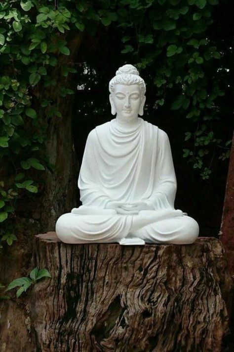 Statue Ideas, Buddha Statue Garden, Buddha Statue Home, Buddha Wall Decor, Beautiful Buddha, Peaceful Garden, Buddha Garden, Buddha Artwork, Buddha Decor