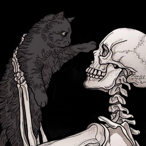 #cat #skeleton #blackbackground #profilephoto Skeleton Artwork, Black Cat Aesthetic, Cat Skeleton, White And Black Cat, Skeleton Drawings, Skull Art Drawing, Cat Skull, Witchy Wallpaper, Skeleton Art