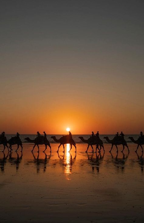 Cable Beach Broome, Exmouth Western Australia, Australia Lifestyle, Broome Australia, Australia Sunset, Broome Western Australia, Australia Pictures, Australia Photography, 2024 Moodboard