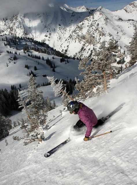 Utah Activities, Ski Inspiration, Alta Utah, Alta Ski, Utah Ski, Utah Skiing, Snowboarding Trip, Ski Bums, Best Ski Resorts