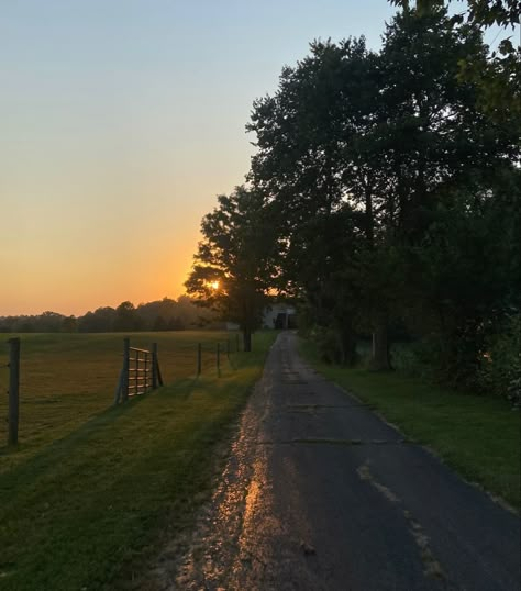 Farm Pasture, Country Farm Landscape Ideas, Farm Asthetic, Long Driveway, Farm Driveway, Country Field, Farmhouse Driveway, Farm Sunset, Farm Land