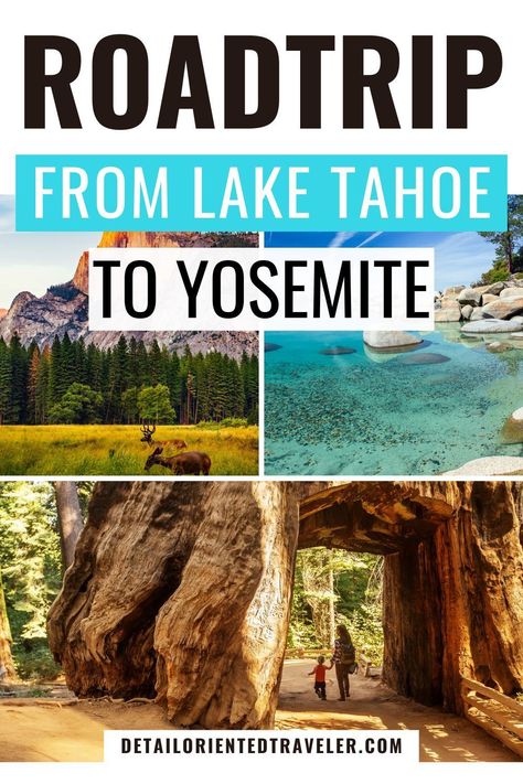 Lake Tahoe to Yosemite is one of the best road trips in California. There are a lot of options for driving and how to get from Lake Tahoe to Yosemite, and it changes depending on the time of year and what is open. Reno To Lake Tahoe, Yosemite Vacation, Lake Tahoe Trip, Lake Tahoe Summer, Tahoe Trip, Yosemite Trip, Lake Tahoe Vacation, Best Road Trips, Yosemite California