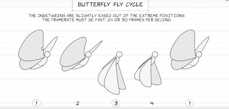 Animation Motion Sketch, Animation Cycle Reference, Butterfly Flying Animation, Animation Frames Drawing, Animation Frame By Frame Reference, Animation Reference Step By Step, Animation Tutorial Frame By Frame, Frame By Frame Animation Reference, Animation Step By Step