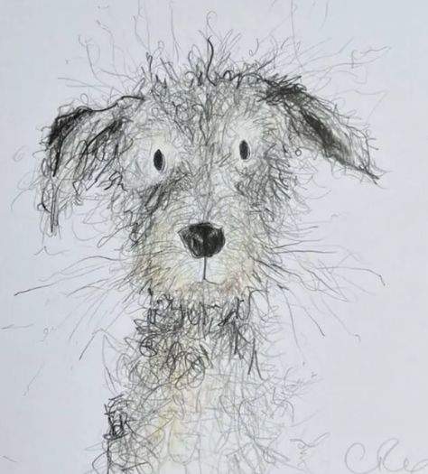 Scruffy Dog Drawing, Catherine Rayner, Drawn Animals, Scruffy Dogs, Doodle Dogs, Animal Sketch, Scribble Art, Dog Pics, Animal Artwork