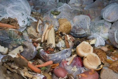 The new government should make recycling compulsory under law as Britain’s increasingly full landfill sites reach crisis point, according to one waste management business. Food Waste Management, Prevent Food Waste, Waste Reduction, Waste Collection, Household Waste, Edible Food, Plastic Pollution, Leftovers Recipes, Reduce Food Waste