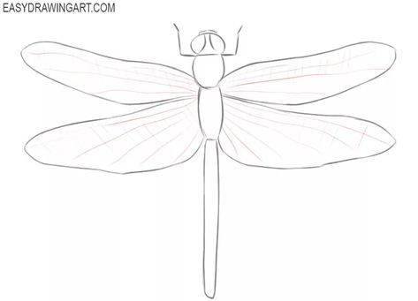 dragonfly drawing simple Dragonfly Outline Drawings, Dragonfly Sketch Simple, Dragonfly Drawing Simple, Simple Dragonfly Drawing, Dragonfly Sketch, Draw A Dragonfly, Very Simple Drawing, Very Easy Drawing, Dragonfly Drawing