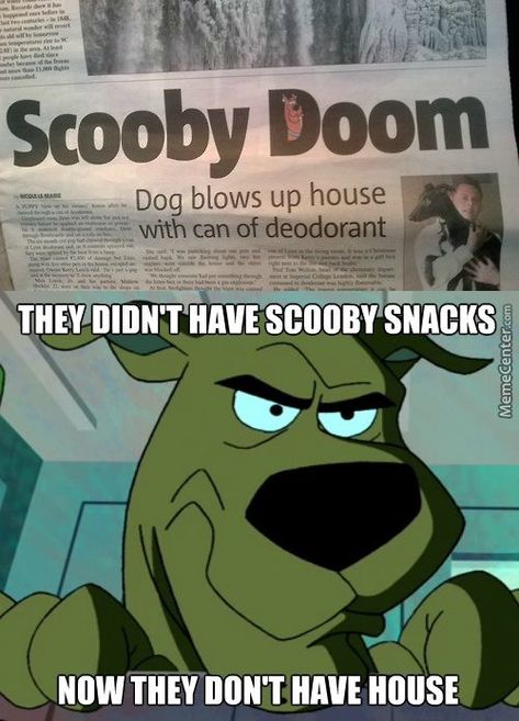 Shaggy Memes, Scooby Doo Memes, Scooby Doo Mystery Inc, Scooby Doo Images, Scooby Doo Mystery Incorporated, Scooby Snacks, Scooby Doo Mystery, Hilarious Memes, What’s Going On