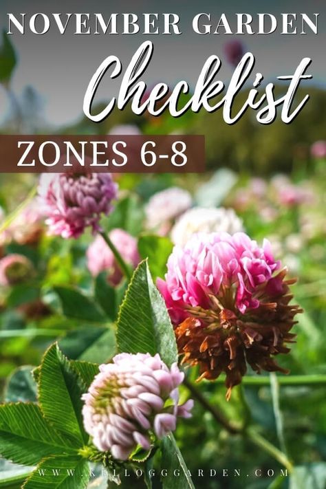 November Garden Checklist Zones 6-8 Gardening Schedule Calendar Zone 7, Zone 7b Gardening, Gardening Checklist, Growing Calendar, Garden Checklist, Growing Herbs Indoors, Garden Prepping, Fall Gardening, Gardening Zones