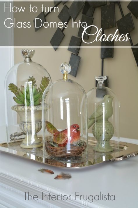 Water Wall Diy, Glass Cloche Decor, Glass Cloches, Cloche Decor, Upcycled Home, Glass Cylinder Vases, Glass Cloche, Glass Furniture, Diy Dollar Store Crafts