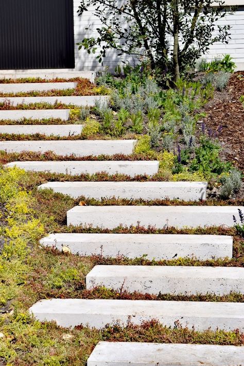 Landscape Stairs, Landscape Steps, Backyard Walkway, Patio Steps, Garden Stairs, Outdoor Steps, Sloped Garden, Garden Walkway, Garden Steps