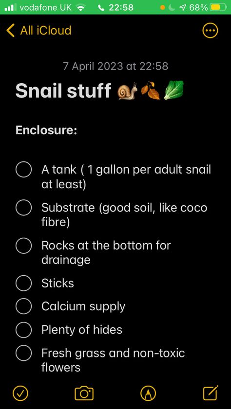 How To Make A Snail Terrarium, Slug Terrarium, Pet Snails Terrarium, Snail Terrarium Ideas, Snail Enclosure Ideas, Snail Enclosure, Pet Snail Terrarium, Snail Pet, Snail Facts