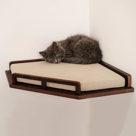 Corner Cat Shelf With Pillow Cat Corner Wall Bed Corne Cat - Etsy Ukraine Cat Gadgets, Cat Wall Bed, Porch Extension, Shelf For Wall, Cat Corner, Cat Shelf, Cat Fun, Cat Wall Furniture, Cat Steps