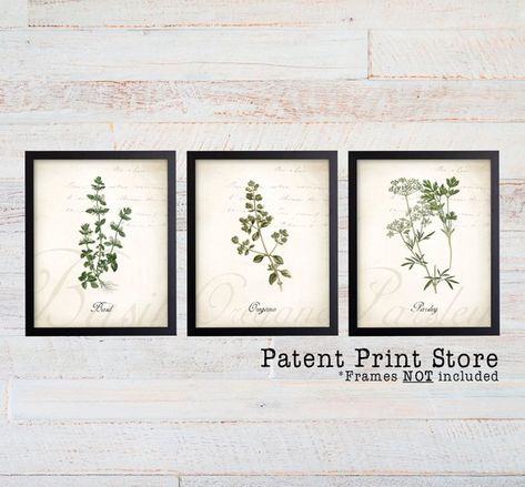 Herb Botanical Art Prints. Herb Prints. Herb Wall Art. | Etsy Herb Wall Art, Wildflower Decor, Herb Prints, Herb Art, Herb Wall, Pre Raphaelite Art, Fashion Wall Decor, Kitchen Art Prints, Wall Art Farmhouse