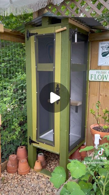 Vaughan House | Micro-Weddings + AirBnB on Instagram: "Upgraded butterfly enclosure! 🌱🐛

#monarchbutterfly #savethepollinators #enclosure #butterfly #butterflies" Butterfly Enclosure, Vaughan House, Micro Weddings, Butterfly House, Monarch Butterfly, May 17, In The Garden, The Garden, Butterflies