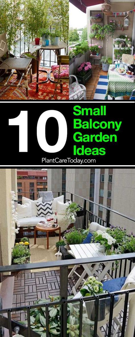 Luckily, even a tiny patio or small balcony garden, can transform into a small patch of paradise. Apartment Patio Gardens, Tiny Patio, Ideas Terraza, Balcony Garden Ideas, Balkon Decor, Patio Flowers, Tiny Balcony, Small Balcony Garden, Small Patio Garden