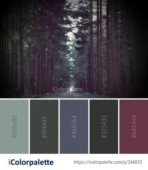 Color Palette Ideas from Vegetation Forest Ecosystem Image | iColorpalette Forest Colour Scheme, Forest Colours Palette, Magical Forest Color Palette, Dark Forest Color Palette, Enchanted Forest Color Palette, Forest Colour Palette, Forest Color Scheme, Forest Green Color Palette, Forest Color Palette