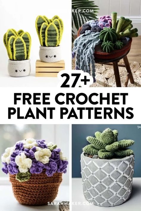 27 Free Crochet Plant, Cactus, and Succulent Patterns - Sarah Maker Crochet Plant Patterns, Sarah Maker, Crochet Cactus Free Pattern, Crochet Plants, Haunting Stories, Crochet Thread Size 10, Crochet Plant Hanger, Crochet Succulent, Doll Amigurumi Free Pattern