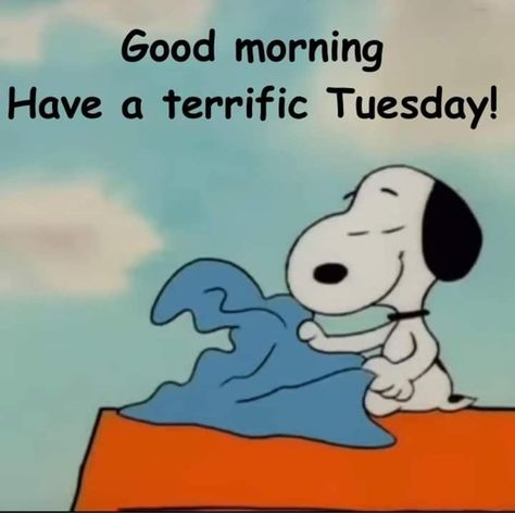 Snoopy Tuesday, Good Morning Snoopy, Snoop Dog, Peanuts Gang, Fun Stuff, Good Morning, Snoopy