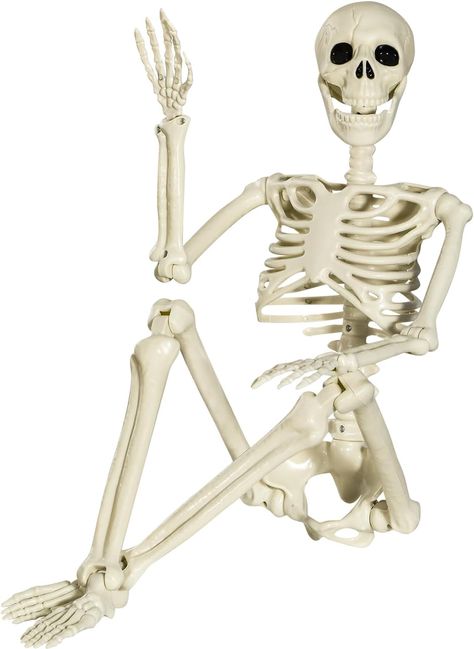 XONOR Halloween Skeleton Full Body Posable Joints Skeletons, 3ft Human Skeleton Decorations for Halloween Party Haunted House Supplies (1pc) Life Size Skeleton, Posable Skeleton, Haunted House Halloween Party, Skeleton Body, Halloween Skeleton Decorations, Plastic Skeleton, Skeleton Model, Haunted House Props, Human Bones