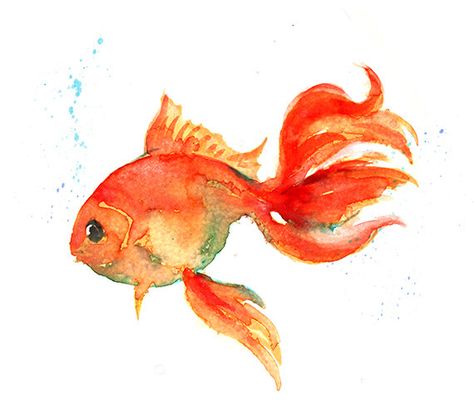 Gold Fish Painting, Fish Watercolor, Fish Drawing, Watercolor Fish, Fish Illustration, Fish Drawings, Gold Fish, Fish Painting, Fish Print