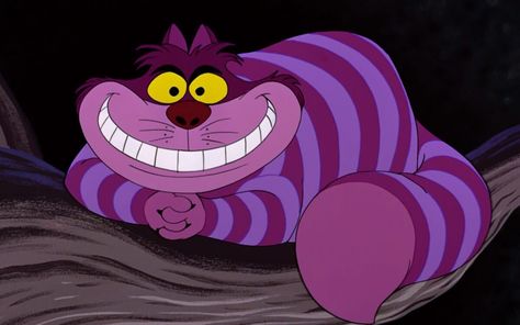 Cheshire Cat Cartoon, Cat Cartoon, Cheshire Cat, Oh My, Alice In Wonderland, Purple, Disney, Yellow