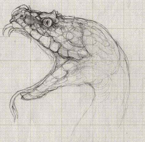 "Serpent's Temple - Giant Snake".  Artist Ron Cobb. Snake Concept Art, Ron Cobb, Snake Sketch, Giant Snake, Snake Drawing, A Level Art Sketchbook, Wave Illustration, Snake Art, Greek Mythology Art