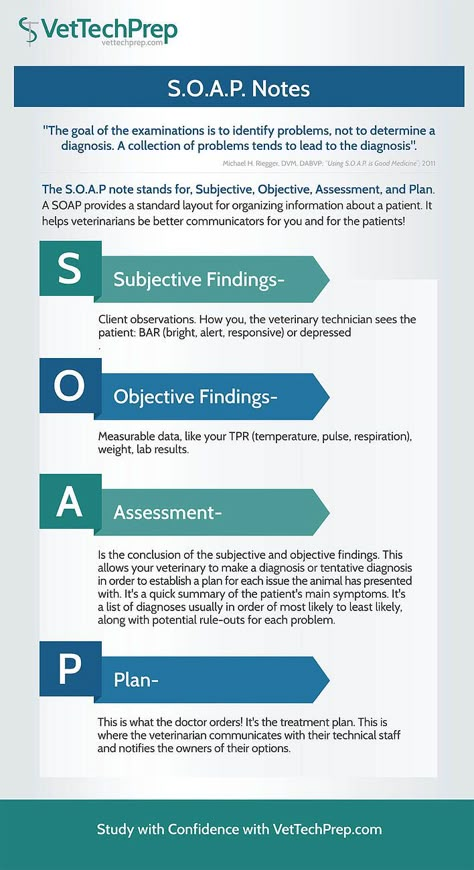 Infographic: S.O.A.P. Notes Vtne Prep Veterinary Technician, Vet Assistant Tips, Vet Tech Cheat Sheet, Veterinarian Assistant, Soap Notes, Veterinarian Technician, Vet Tech School, Veterinary Tech, Vet Tech Student