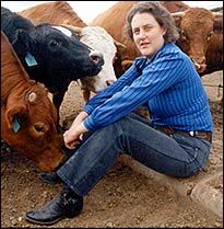 Have you done things because you *should* even though you didn’t *want* to? How did it go? Texas Fort Worth, Thinking In Pictures, Temple Grandin, Meat Industry, Colorado State University, Animal Science, Animal Behavior, Sensory Processing, Inspiring Women