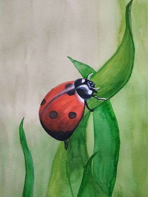 Ladybug Painting, Insects Painting, Art Insects, Bugs Drawing, Art Shed, Ladybug Art, Colour Pencil, Watercolor Paintings Easy, Insect Art