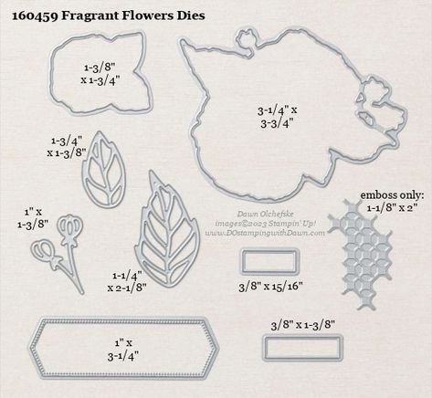 Stampin’ Up! Fragrant Flowers Dies sizes shared Dawn Olchefske #dostamping #stampinup #diecutting #stampindies #papercrafting Stampin Up Fragrant Flowers, Potted Geraniums, Cottage Wreath, Tree Stamp, Birthday Cards For Boys, Embossed Cards, Flower Stamp, Fresh Cut Flowers, Christmas Banners