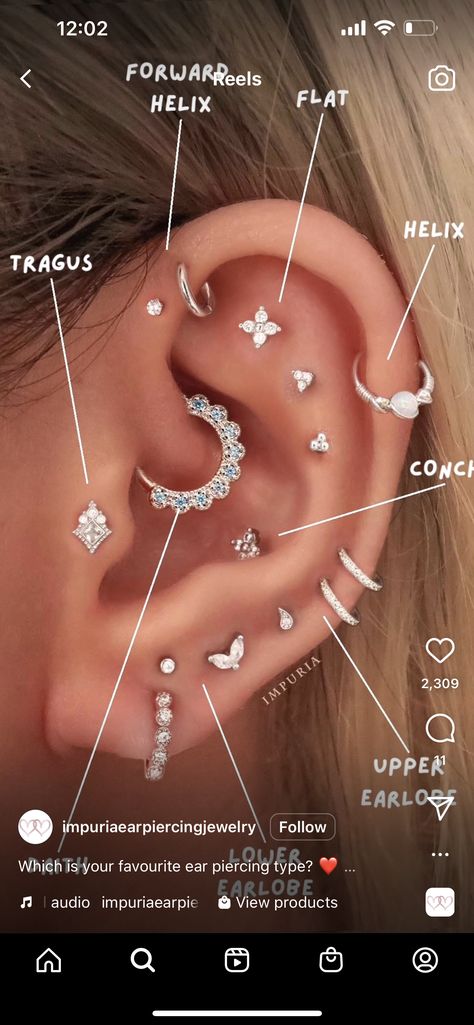 Earrings Placement Chart, Piercings Ear Labeled, Labeled Ear Piercing Diagram, Earring Map On Ear, Different Ear Piercings Chart Names, Earring Placement Ideas Chart, Ear Peirce Chart Pain, Ear Anatomy Piercing, Piercing Chart Ear Labeled