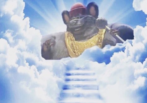 Rip Biggie Cheese, always in our hearts Biggie Cheese Meme, Cheese Meme, Biggie Cheese, Always In Our Hearts, God Exists, A Rat, News Magazine, Fresh Memes, Outdoor Survival