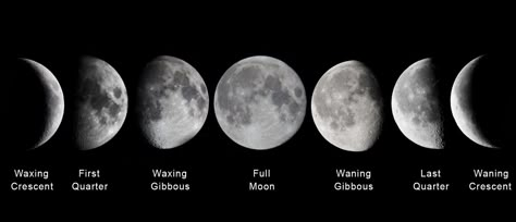 Moon Phases In Order, Moon Phase Template, Moon Stages Tattoo, Space Widgets, Moon Phases Names, Moon Rotation, Moon Phases Drawing, Moon Phase Photo, Stages Of The Moon