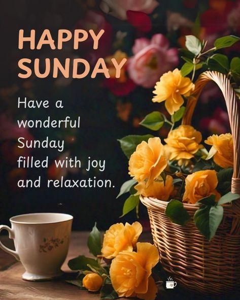 🌺🌼🌺 #GoodMorning #happysunday Blessed Sunday Morning, Beautiful Morning Pictures, Good Morning Happy Weekend, Happy Sunday Images, Have A Beautiful Sunday, Happy Sunday Morning, Sunday Greetings, Sunday Wishes, Sunday Images